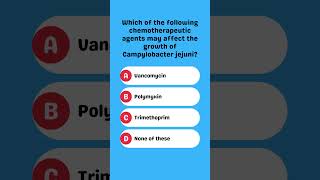 Which chemotherapeutic agent can inhibit Campylobacter jejuni [upl. by Enyahs479]