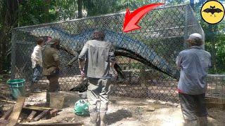 El Dinosaurio del Amazonas que fue Capturado y Mantenido en Secreto [upl. by Ramhaj852]