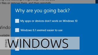 Uninstall Windows 10 and Downgrade to Windows 81 [upl. by Suiratnauq449]