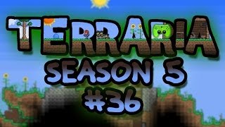 TERRARIA 12  36  Erst mal sammeln «» Lets Play Terraria Season 5 Together  HD [upl. by Brechtel]