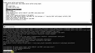 Configure Oracle TLS Connection [upl. by Averir]