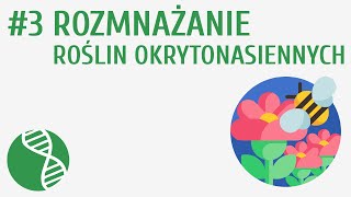 Rozmnażanie roślin okrytonasiennych 3  Rośliny nasienne [upl. by Rowell]