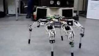 Hexapod Robot Lübeck [upl. by Iarised]