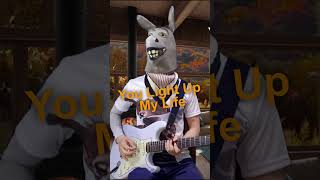 You Light Up My Life Debby Boone Guitar Instrumental Cover by Donkey Guitar [upl. by Yarased]