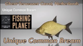 Unique Common Bream  GhentTerneuzen Canal Netherlands  Fishing Planet Guide [upl. by Gnet]