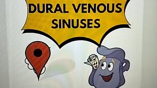 Dural Venous Sinuses made easy [upl. by Mab]