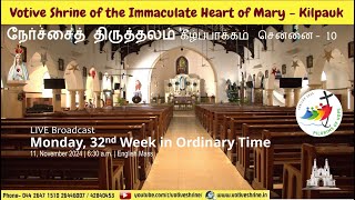 Votive Shrine Daily Mass  Live Stream  November 11 2024 Monday 630 am  English Mass [upl. by Anirbas830]