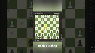 57 Seconds Checkmate with Bishop and Rook [upl. by Sanford657]