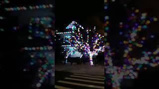 Beautiful House Christmas Lights holiday christmasdecor [upl. by Tallou362]