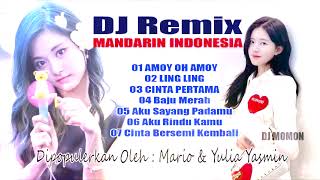 DJ Remix Mandarin Indonesia Amoy Oh Amoy  Ling Ling [upl. by Atiek]