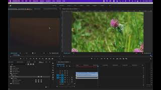 How To Remove A Black Background Of An Overlay Video In Premiere Pro [upl. by Eed]