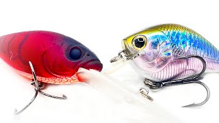 Best Crankbaits For Fall Bass Fishing [upl. by Salomo]