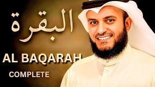 Beautiful Complete Recitation of Surah Al Baqarah by Sheikh Mishary Rashid Al Afasy [upl. by Tamra]