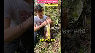 Why do the Chinese eat bamboo 😱 voicereaction inenglish usa america [upl. by Irelav905]