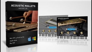 Acoustic Mallets Plugin  Vibraphone amp Glockenspiel  MacPC VST AU [upl. by Etnaik]