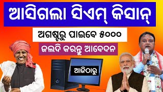 CM Kisan Yojana Odisha Online Apply  CM Kisan Yojana Odia  CM Kisan Yojana  CM Kisan Odisha [upl. by Assirahc]