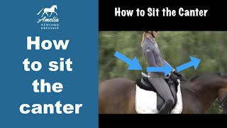 Canter Seat How to Sit the Canter [upl. by Aenert]