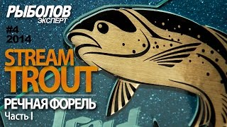 Stream Trout  речная форель Часть 1 [upl. by Lemhaj355]