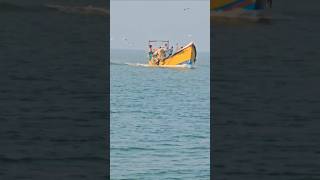 Cranes Flying along With Fisherman Boat In Godavari River  Teluguntertainmentvlogs [upl. by Ehudd491]