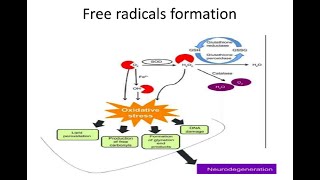 Role of Free Radical Injury in Neurodegenerative Process  by Dr Anum Minal [upl. by Kisor]