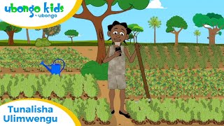 Webisode 62 Tunalisha Ulimwengu  Episode Nzima ya Ubongo Kids  Hadithi za Kiswahili [upl. by Eiraminot962]