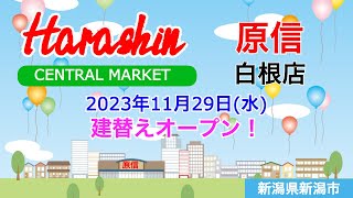 『原信 白根店』2023年11月29日水建替えオープン！／新潟県新潟市 [upl. by Dave249]