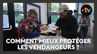 Un nouveau dispositif pour mieux protéger les vendangeurs de Champagne [upl. by Rapsac]