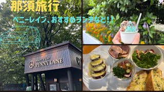 【栃木 那須】おすすめランチ・ペニーレイン・ジェラート [upl. by Nibbs778]