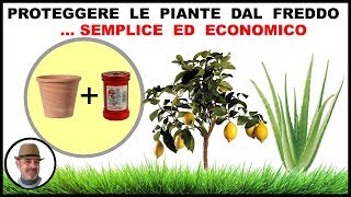 PROTEGGERE LE PIANTE DAL FREDDO CON UN METODO SEMPLICE ED ECONOMICO [upl. by Tomasz]