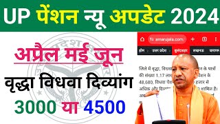 UP Pension New Update 2024 April MayJune Ki Pension Kab AaegiUP Pension Kab Aaegi 2024 [upl. by Aivon298]