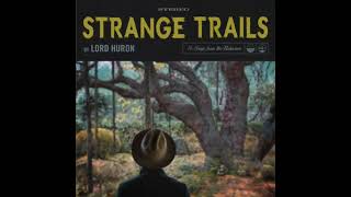 Lord Huron  The Night We Met Instrumental [upl. by Anehsak495]