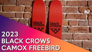 2023 Black Crows Camox Freebird  Ski Review [upl. by Dranreb]