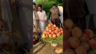 Da shaltalo bhagh swat fruits shorts ytshorts shortsfeed [upl. by Dupre]