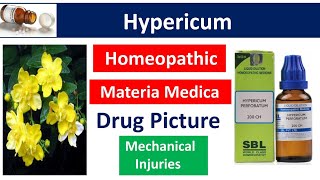 Hypericum Homeopathic medicine  Drug Picture  Materia Medica [upl. by Ahseyn]