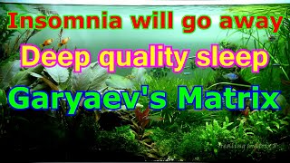 For Sleep and Rest  Garyaevs Matrix  deep quality sleep  Peter Petrovich Garyaevs  dna  audio [upl. by Danziger]