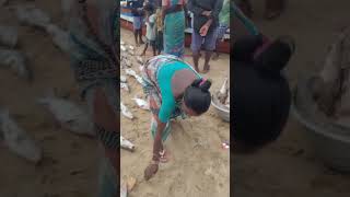 Telugu Fishermans at Puri Sea beach 😱 [upl. by Asille418]