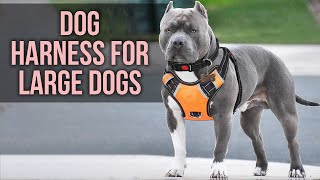 5 Best Dog Harness for Large Dogs [upl. by Riki]