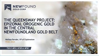 New Found Gold VP of Exploration Presents at PDAC 2024 TSXV NFG NYSEA NFGC [upl. by Nelia]