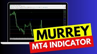 Murrey Math Indicator for Metatrader 4 free download by Nina Fx [upl. by Dohsar]