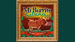 Mi Burrito Sabanero Salsa [upl. by Yllier]