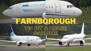 Top Brass vs Horse Brass VIP Jet amp Horse Carrier Acropolis Aviation A320 amp 26 year 737 10624 [upl. by Emrich]