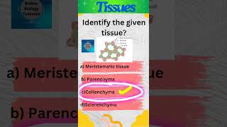 Collenchyma  Plant tissues  Tissues  Class 9 Science  shorts [upl. by Meredithe]