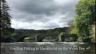 Grayling fishing with Graham on the Welsh Dee at Llandderfel [upl. by Petie]