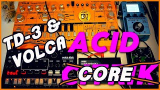 TD3 amp Volca Kick  ACID CORE [upl. by Ivatts]