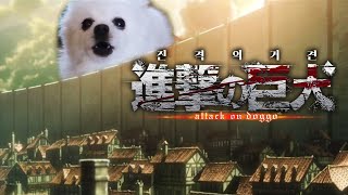 【진격의 거견】 op 「홍견의 화살」 강아지 리믹스  attack on titan dog cover [upl. by Braun]