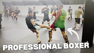 Professional Boxer Tries Muay ThaiMMA Sparring [upl. by Sanburn]