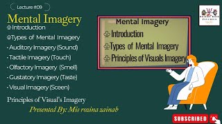 Mental Imagery in Urdu amp Hindi  Types of Mental Imagery  Principles of Visuals Imagery  11 [upl. by Armillia]