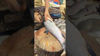 Fish Cuttng lnFishreels Marketshortvideo fishcuttingskills viral shortsshortvideoshortvid [upl. by Llerrad]