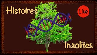 🔴 Lintelligence des plantes [upl. by Ynnij]