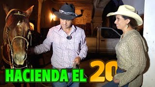 Me lo TRAJE A VIVIR a la HACIENDA cuando MIRE como AMANSABA un CABALLO BRONCO en un Ratito [upl. by Eerat]